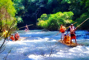 STEPiNN-PERIYAR WILDLIFE SANCTUARY